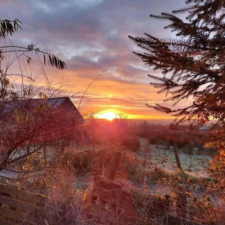 Forest View Cabin Ballaghaderreen Eksteriør bilde