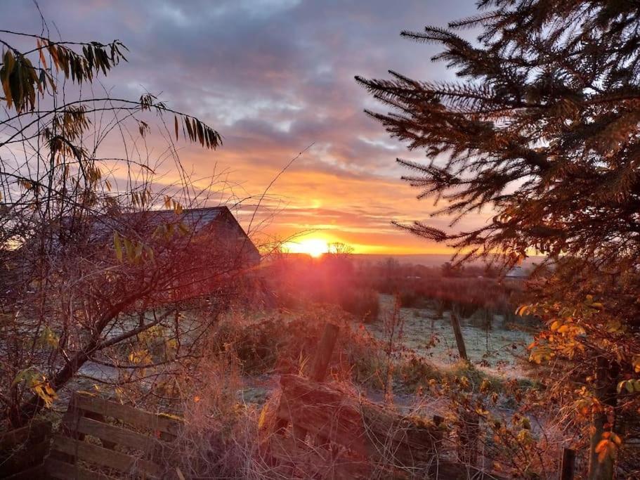Forest View Cabin Ballaghaderreen Eksteriør bilde