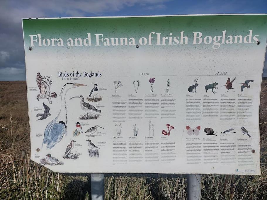 Forest View Cabin Ballaghaderreen Eksteriør bilde