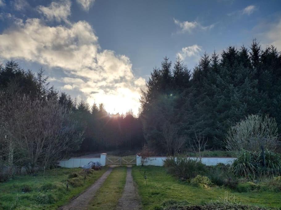 Forest View Cabin Ballaghaderreen Eksteriør bilde