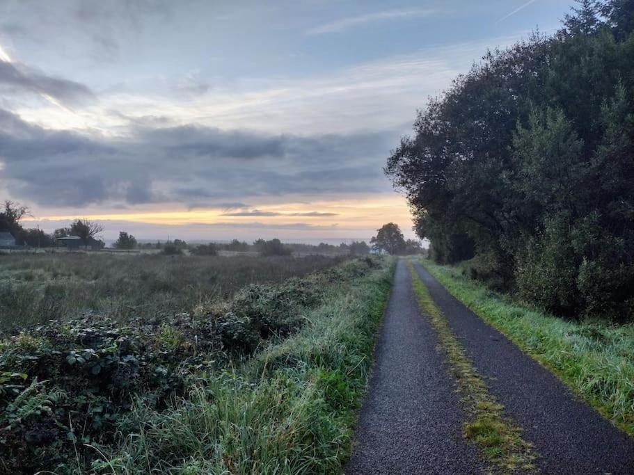 Forest View Cabin Ballaghaderreen Eksteriør bilde