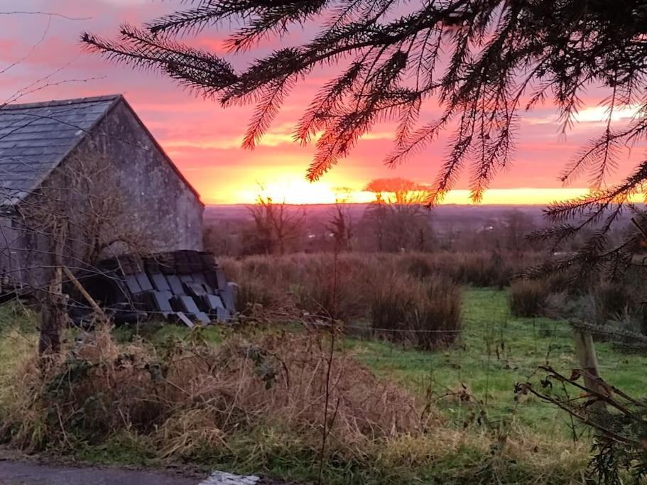 Forest View Cabin Ballaghaderreen Eksteriør bilde
