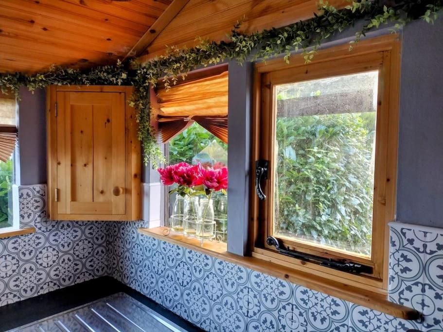 Forest View Cabin Ballaghaderreen Eksteriør bilde